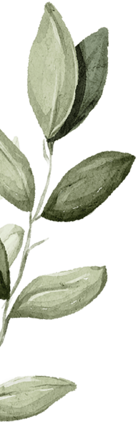 Branch 1
